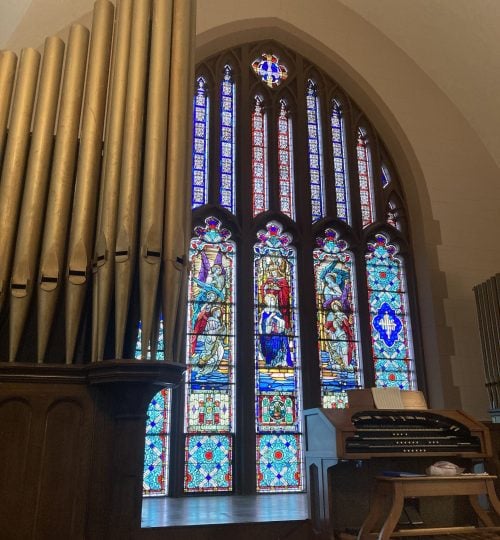 Organ Side View
